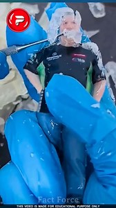 290K views · 5.6K reactions | 3D doll! | Fact Force | Facebook