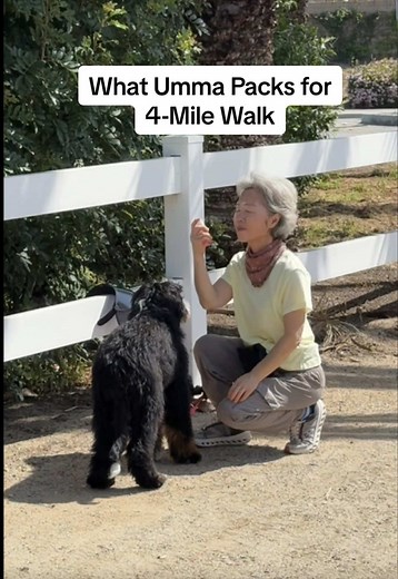 Umma's Daily 4-Mile Walk Essentials with Mr. Chicago