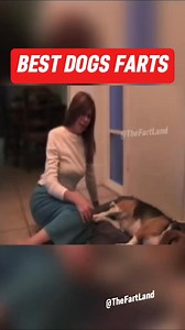 Best dogs farts ! #fart #compilation #dog #fyp #reels #comedy #viral #Top10 #farting #funny | The Farts Land