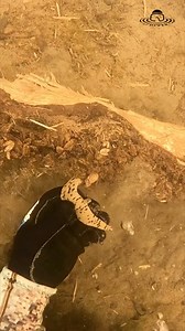 5K views · 84 reactions | These leeches seemed to by the “nice” kind and didn’t bother me one bit! #bemidji #minnesota #fyp #fun #outdoors #swimming #underwater #scubadiving #cleanup #leech #crawfish #letsgo | Ed the Diver | Facebook