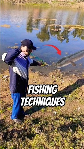 slingshot fishing tips and techniques #shortsfeed #fishing #slingshot