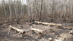 Building a Massive Log Cabin Like Our Ancestors! | Tech Moments