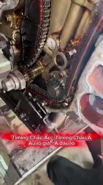 khi nào thì nên thay dây cam, sên cam, timing. Tác hại ra sao nếu ta quên thay ?