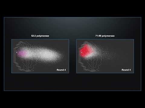 Modeling the origins of life: New evidence for an "RNA World"