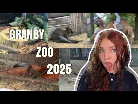They Have A WHOLE CAVE? // GRANBY ZOO Vlog