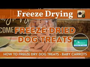 Freeze Dried Dog Treats (Baby Carrots) | Harvest Right Freeze-Dried Vegetables | Step-By-Step Video!