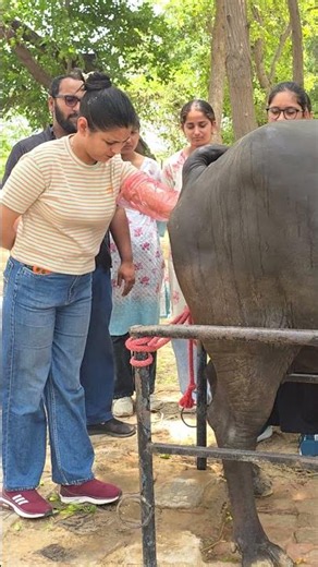 Become an AI Technician | Top Animal Training Institute in India