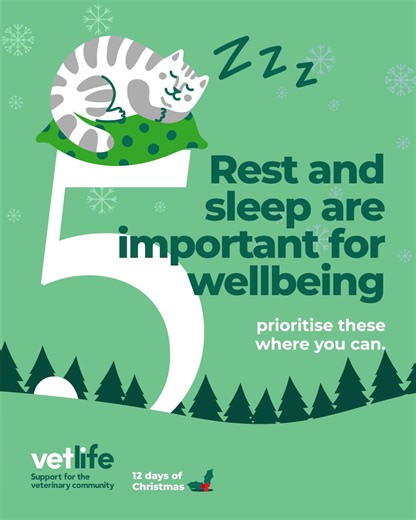 🎄12 Days of Christmas Self-Care 🎄 The festive season can be busy and tiring. Today’s tip is a reminder to be kind to your energy levels and take time to restore when you’re able. 💚 | Vetlife