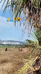 79K views · 135 reactions | Quick Cash Loan on Reels | Facebook