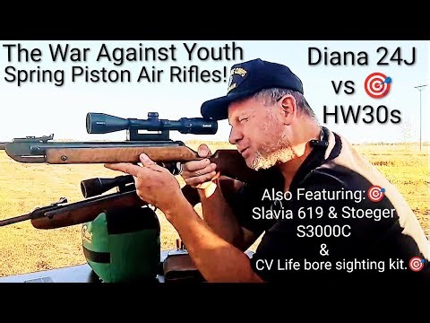 War Against Youth Spring Piston Air Rifles: Diana 24J vs HW30s