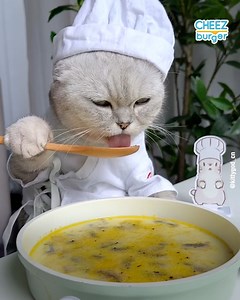 574K views · 96 reactions | She could earn herself a Michelin star, but there's always fur in the food. | Cheezburger | Facebook