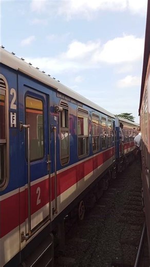 Diesel electrical multiple unit DEMU New train travel Railway