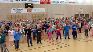 Skodje barneskule 6260