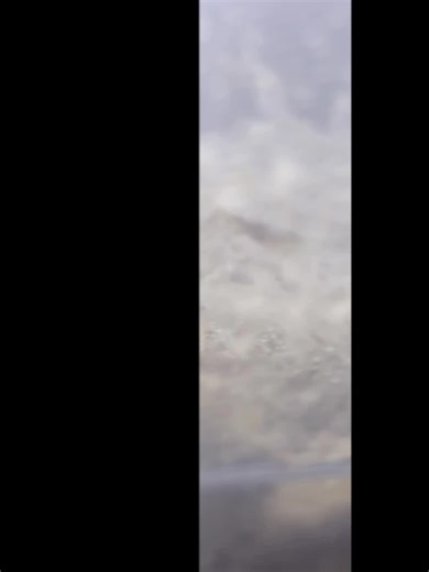 MasterMindingIndustriesMadMush (@mastermindingindustries)’s videos with original sound - Eagle Mindset