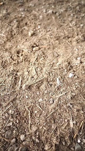 GatewayCarConnection on TikTok