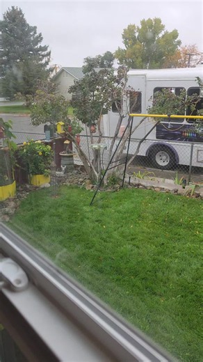#squire #squirrel except it wasn't squire it was a rogue squirrel from down the road
