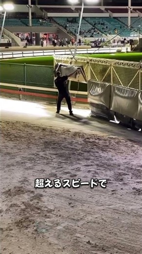 The Secret Behind Greyhound Racing!