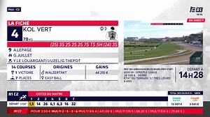 [LA COURSE DU QUINTE R1C1] Suivez #LaCourseDuQuinté de mecredi 28 janvier à Pau sur Equidia Retrouvez toutes les courses en direct sur l'appli Equidia et equidia.fr | Equidia