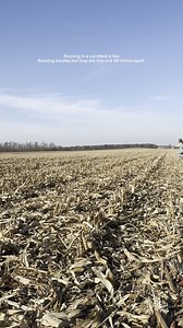 You simply cannot run across a corn field and not look like a fool. #farmwithzoe #corn #running #ag | Farmwithzoe