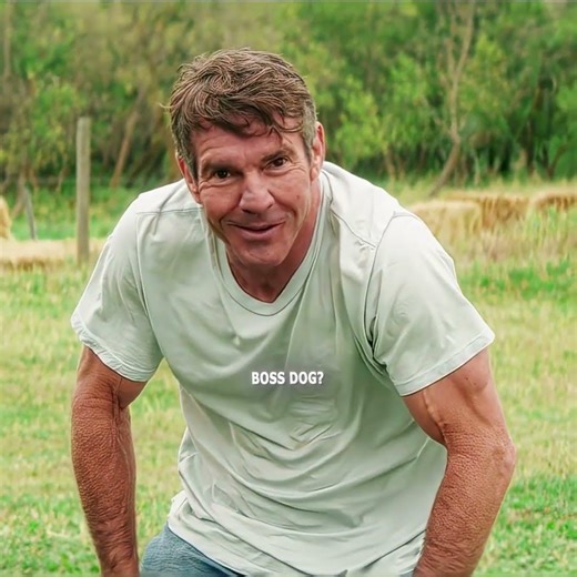 I had a boy,and his name was Ethan.#movieedits #film #movie #action #edit #shorts#A Dog's Purpose