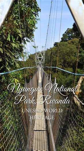 UNESCO WORLD HERITAGE SITES - Nyungwe National Park, Rwanda 😍