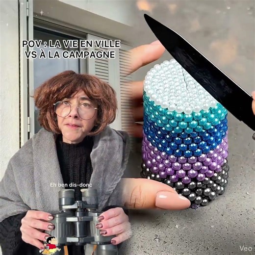 Et toi c’est ville ou campagne ? 🤣 #humour #parodie #campagne