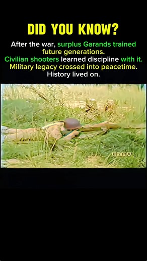 How the M1 Garand Continued Shaping Shooters After World War II