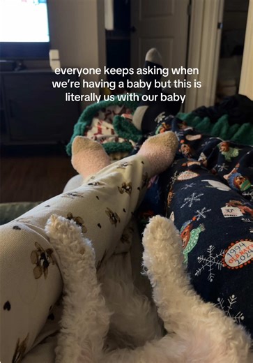 genuinely peak flow state ❤️ #maltipoo #maltipoosoftiktok #relatable #dogtok #fyp