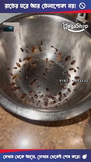 Cockroach Killing Bait Powder – তেলাপোকা শেষ! ঘর হবে ১০০% সেফ ও ক্লিন! 💥 রান্নাঘর, বাথরুম বা ঘরের কোণে লুকিয়ে থাকা তেলাপোকা—এবার একবারেই শেষ! ✅ Strong Killing Formula – তেলাপোকা খেয়ে নিজে মারা যায়, সাথে কলোনিও ধ্বংস হয় ✅ Safe Indoor Use – গন্ধ নেই, ধোঁয়া নেই ✅ Easy to Apply – শুধু ছিটিয়ে দিন বা কোণায় রেখে দিন ✅ Fast Action – কয়েক ঘন্টার মধ্যেই ফলাফল ✅ Perfect for Kitchen, Bathroom & Storage Areas 🔥 তেলাপোকার দৌরাত্ম্য বন্ধ করুন—এক প্যাকেই স্থায়ী সমাধান! 📲 WhatsApp: 01622-118822 ☎️ Customer Ca