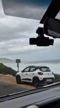 As you drive towards Cape Point you clearly see wild animals including baboons along the road #wild