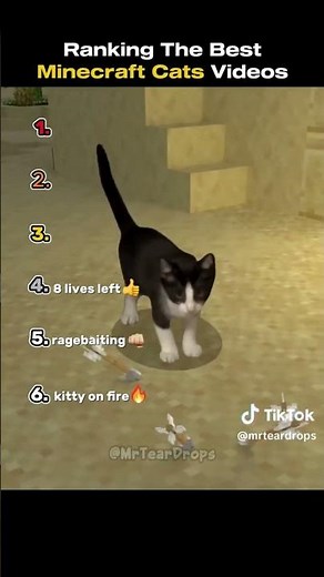 funny moments in Minecraft with cats