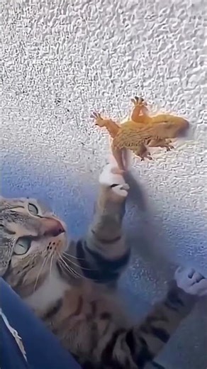 why do lizards cut off their tails #shorts