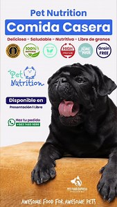 🥩🐾 Pet Nutrition by Pet Food Express 💜 La forma práctica y natural de alimentar a tu mascota. ❄️ Descongelá → 🔥 Calentá → ⏱️ Esperá 3 minutos → 🍽️ ¡Listo! ✨ Dieta BARF 100% natural ❌ Sin preservantes ❌ Sin colorantes ❌ Sin harinas ❌ Sin gluten ❌ Libre de granos 🌱 Carne fresca verduras = energía, buena digestión y pelaje brillante. 📦 Presentación 1 libra 💲 Desde 2 x $10 o 10 x $40 🚚 Delivery GRATIS en zonas de cobertura 💜 Pet Nutrition by Pet Food Express: lo natural, hecho fácil. | Pet