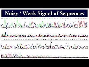 Errors of Nucleic Acids Sequencing Outputs from Sequencers
