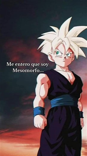 Exploring Mesomorph Body Types in Gym Workouts