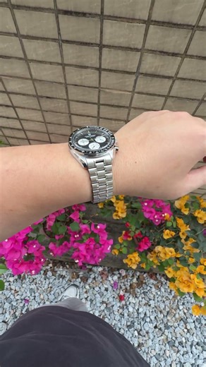 PAGANI DESIGN PD-1701 New Version Available: #paganidesign #chronograph #luxurywatches #speedmaster