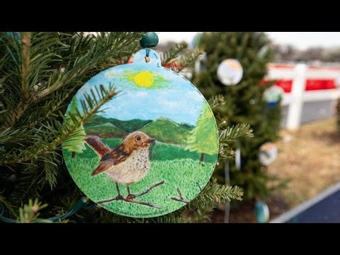Northeast Kingdom students represent Vermont with art on D.C. Christmas tree