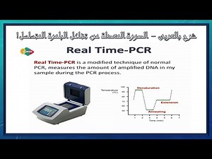 Real-Time PCR | شرح بالعربى - الصورة المعدلة من تفاعل البلمرة المتسلسل!