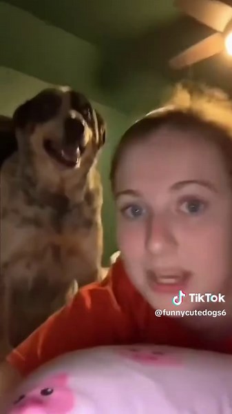 Dogs That Deserve an Oscar for Their Dramatic Skills