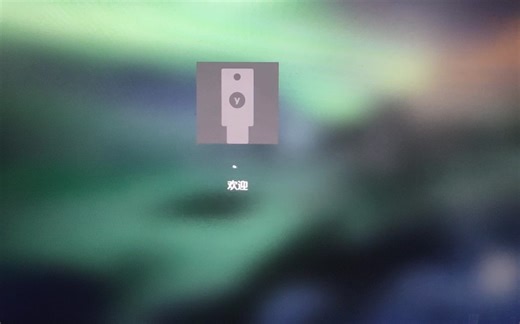 玩具到货，体验Yubikey物理钥匙开机