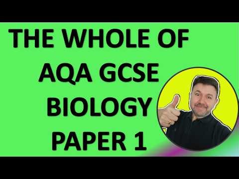 The WHOLE of Biology Paper 1 with Dr B