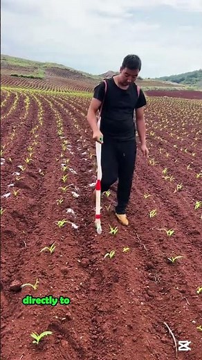Efficient Handheld Fertilizer Dispenser in Action-Good gear makes work a whole lot faster