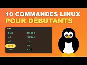 10 Essential Linux Commands for Beginners