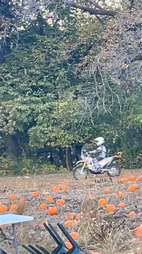 Rich Beymer on Reels