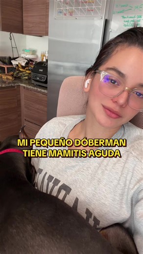 Mi bebé . . . #doberman #dogmom #puppytiktok #dogtok #mamaperruna