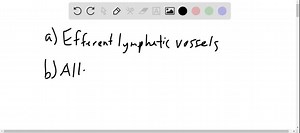 (a) Which anatomical characteristic ensures that the flow of...