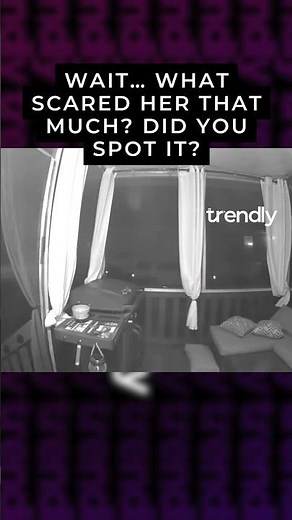 Woman Screams at Tiny Cat on Porch—Doorbell Cam Gold