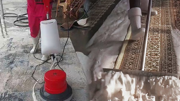 Detailed Carpet Washing: From Grime to Ultimate Perfection