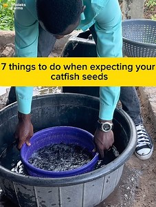 79K views · 1.4K reactions | Do these 7 things when expecting your...