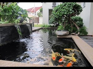 15 Desain Model Kolam Ikan Hias Minimalis Dengan Air Mancur